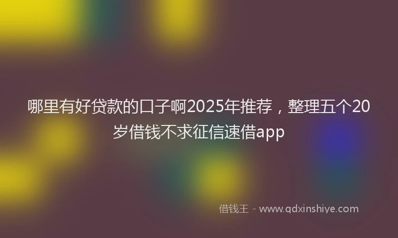 哪里有好贷款的口子啊2025年推荐，整理五个20岁借钱不求征信速借app