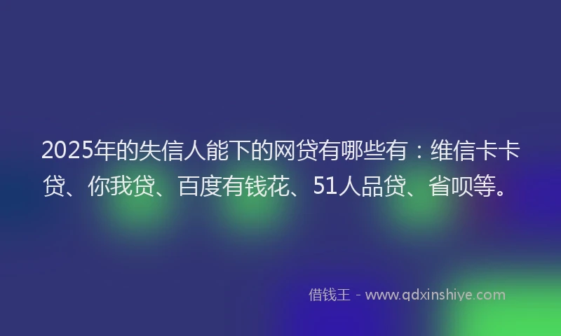 2025年的失信人能下的网贷有哪些有：维信卡卡贷、你我贷、百度有钱花、51人品贷、省呗等。