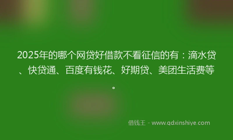 2025年的哪个网贷好借款不看征信的有：滴水贷、快贷通、百度有钱花、好期贷、美团生活费等。