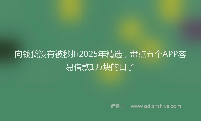 向钱贷没有被秒拒2025年精选，盘点五个APP容易借款1万块的口子