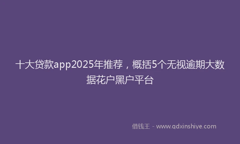 十大贷款app2025年推荐，概括5个无视逾期大数据花户黑户平台