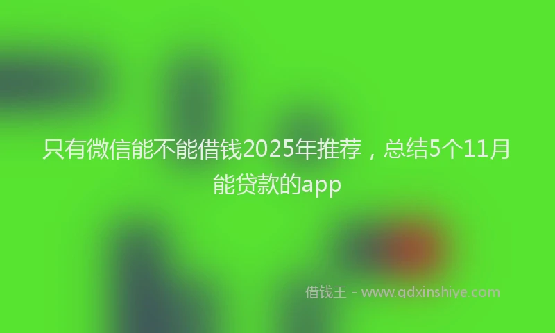 只有微信能不能借钱2025年推荐，总结5个11月能贷款的app