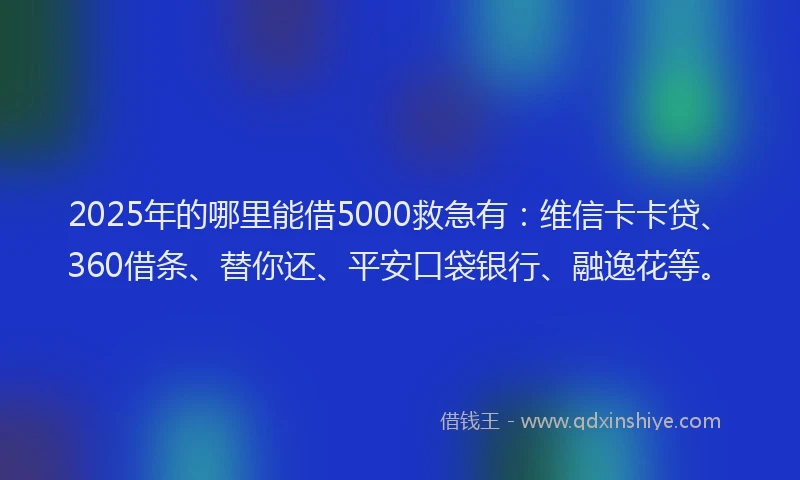 2025年的哪里能借5000救急有：维信卡卡贷、360借条、替你还、平安口袋银行、融逸花等。