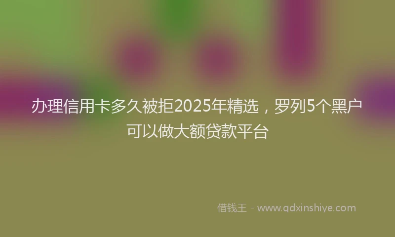 办理信用卡多久被拒2025年精选，罗列5个黑户可以做大额贷款平台