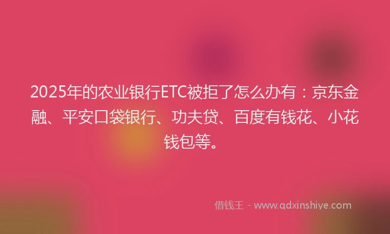2025年的农业银行ETC被拒了怎么办有：京东金融、平安口袋银行、功夫贷、百度有钱花、小花钱包等。