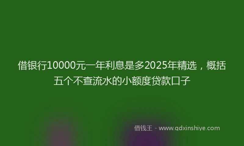 借银行10000元一年利息是多2025年精选，概括五个不查流水的小额度贷款口子