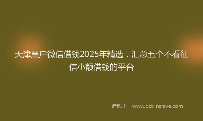天津黑户微信借钱2025年精选，汇总五个不看征信小额借钱的平台