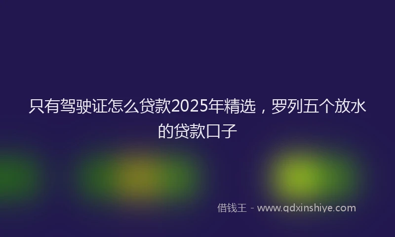 只有驾驶证怎么贷款2025年精选，罗列五个放水的贷款口子