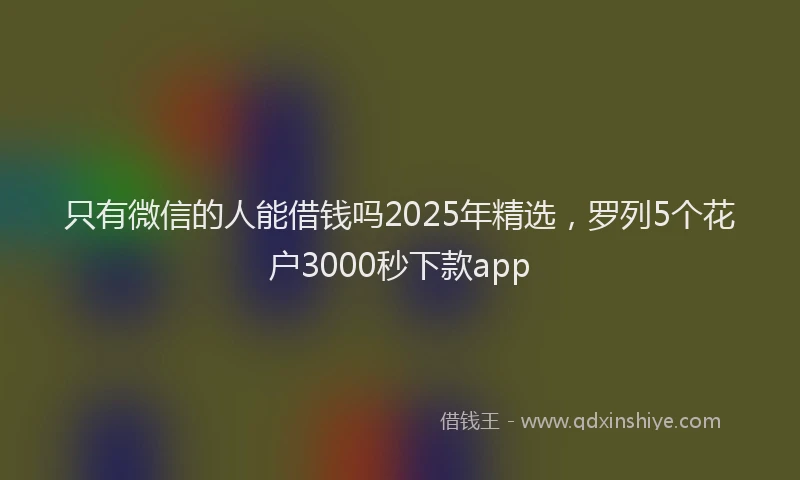 只有微信的人能借钱吗2025年精选，罗列5个花户3000秒下款app