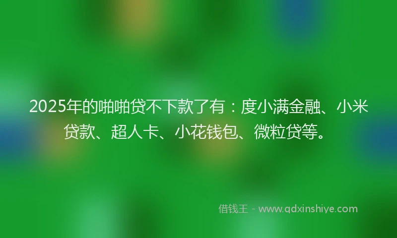 2025年的啪啪贷不下款了有：度小满金融、小米贷款、超人卡、小花钱包、微粒贷等。