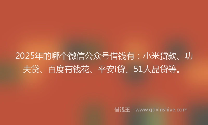 2025年的哪个微信公众号借钱有：小米贷款、功夫贷、百度有钱花、平安i贷、51人品贷等。