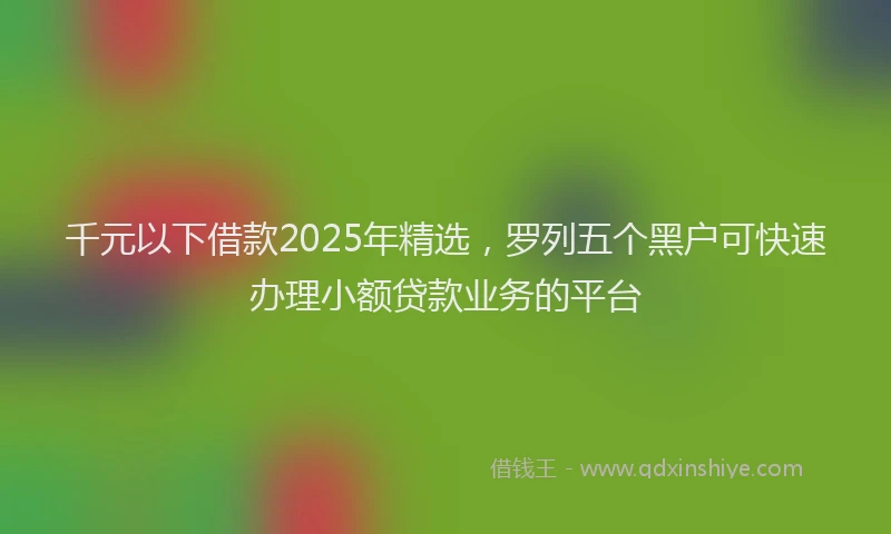 千元以下借款2025年精选，罗列五个黑户可快速办理小额贷款业务的平台