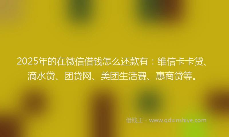 2025年的在微信借钱怎么还款有：维信卡卡贷、滴水贷、团贷网、美团生活费、惠商贷等。