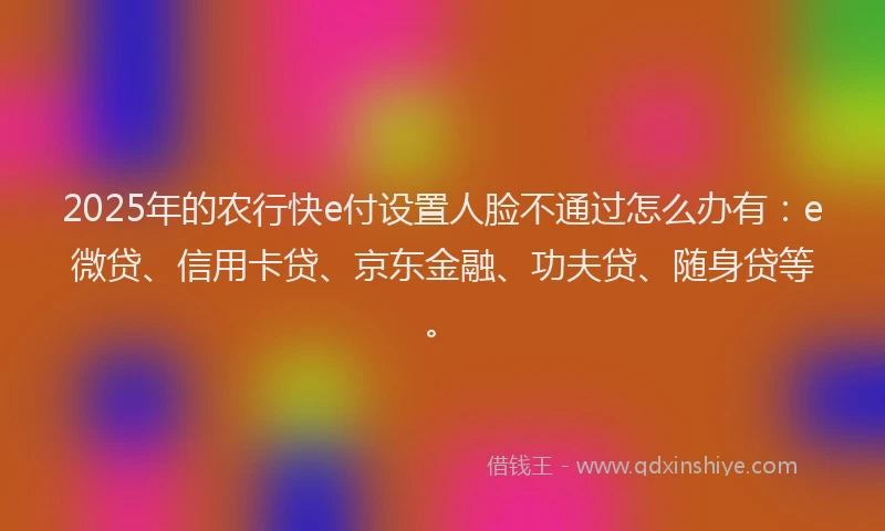 2025年的农行快e付设置人脸不通过怎么办有：e微贷、信用卡贷、京东金融、功夫贷、随身贷等。