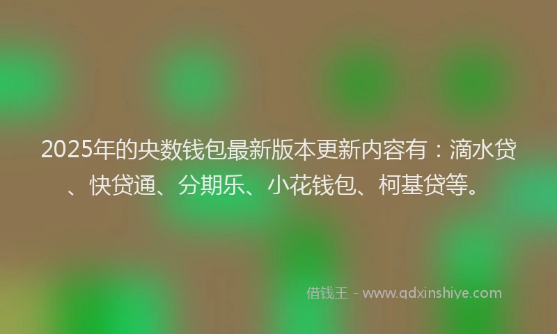 2025年的央数钱包最新版本更新内容有：滴水贷、快贷通、分期乐、小花钱包、柯基贷等。