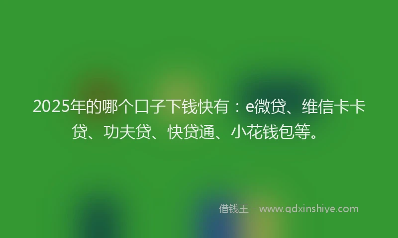 2025年的哪个口子下钱快有：e微贷、维信卡卡贷、功夫贷、快贷通、小花钱包等。