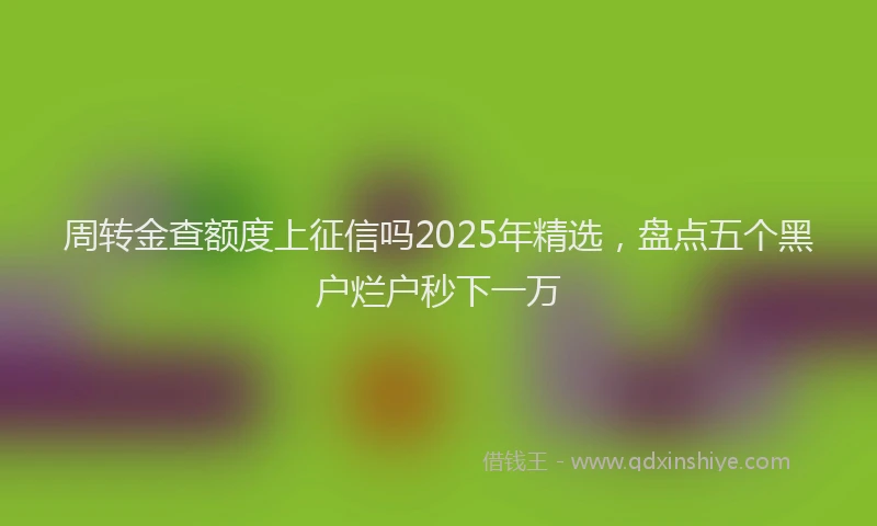 周转金查额度上征信吗2025年精选，盘点五个黑户烂户秒下一万