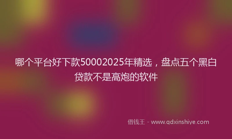 哪个平台好下款50002025年精选，盘点五个黑白贷款不是高炮的软件