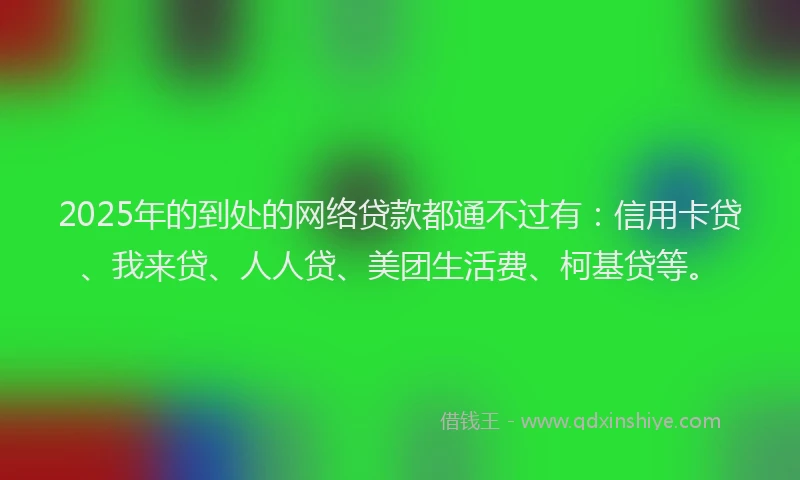 2025年的到处的网络贷款都通不过有：信用卡贷、我来贷、人人贷、美团生活费、柯基贷等。