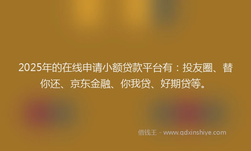 2025年的在线申请小额贷款平台有：投友圈、替你还、京东金融、你我贷、好期贷等。
