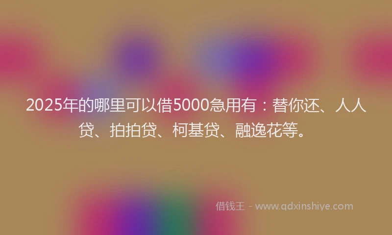 2025年的哪里可以借5000急用有：替你还、人人贷、拍拍贷、柯基贷、融逸花等。