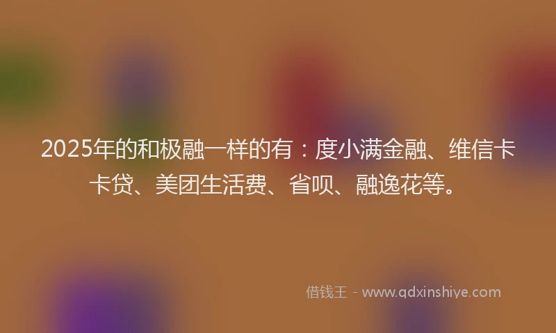 2025年的和极融一样的有：度小满金融、维信卡卡贷、美团生活费、省呗、融逸花等。