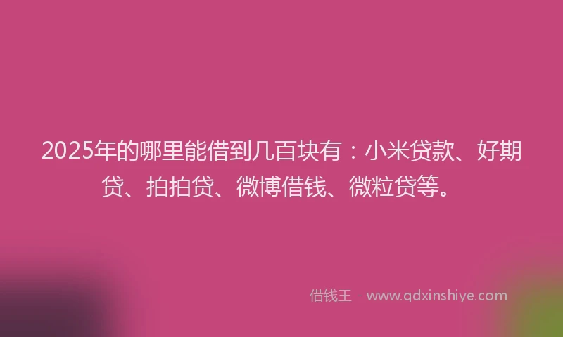 2025年的哪里能借到几百块有：小米贷款、好期贷、拍拍贷、微博借钱、微粒贷等。