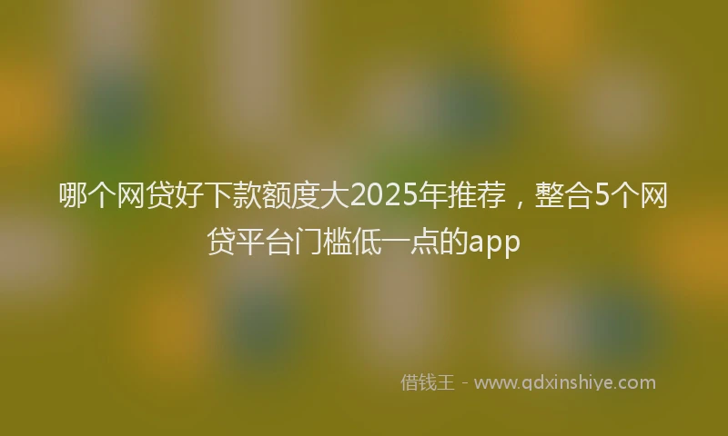哪个网贷好下款额度大2025年推荐，整合5个网贷平台门槛低一点的app