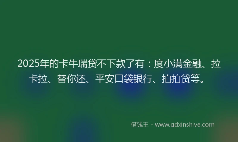 2025年的卡牛瑞贷不下款了有：度小满金融、拉卡拉、替你还、平安口袋银行、拍拍贷等。