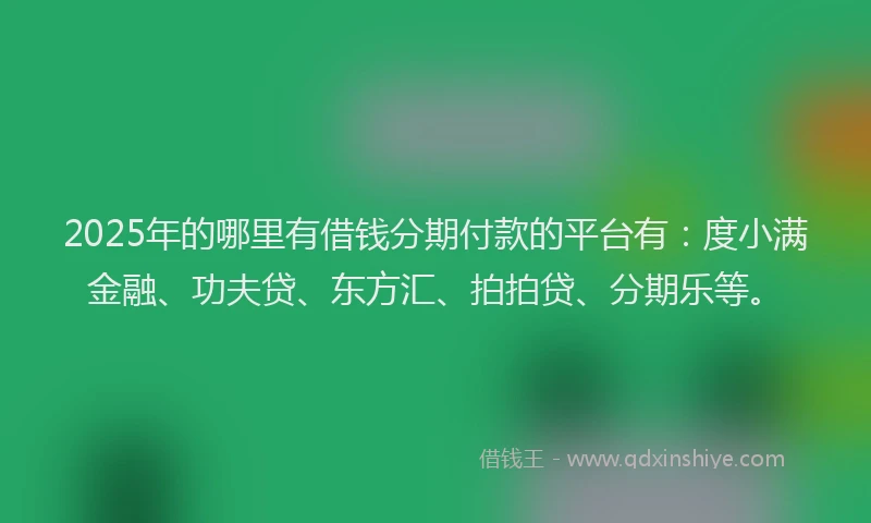 2025年的哪里有借钱分期付款的平台有：度小满金融、功夫贷、东方汇、拍拍贷、分期乐等。