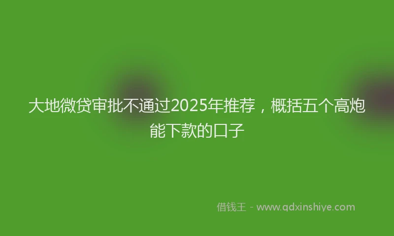 大地微贷审批不通过2025年推荐，概括五个高炮能下款的口子