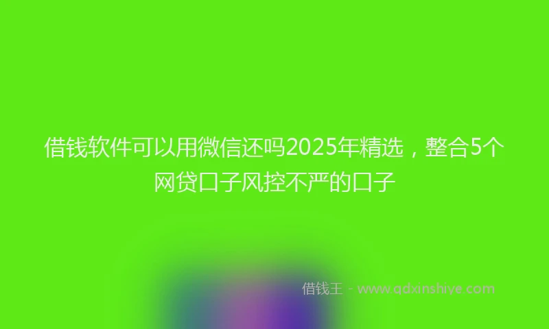 借钱软件可以用微信还吗2025年精选，整合5个网贷口子风控不严的口子