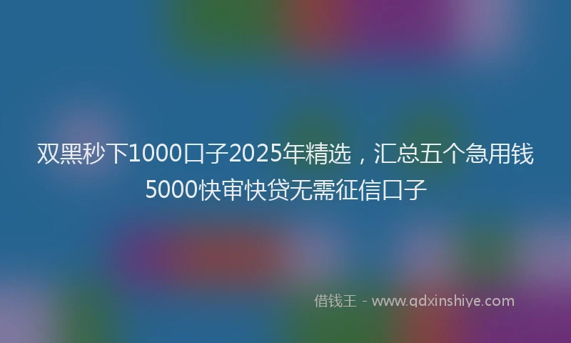 双黑秒下1000口子2025年精选，汇总五个急用钱5000快审快贷无需征信口子