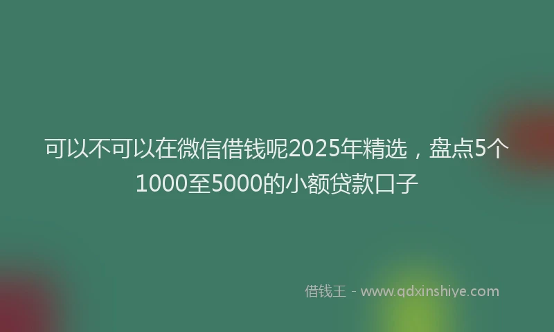 可以不可以在微信借钱呢2025年精选，盘点5个1000至5000的小额贷款口子