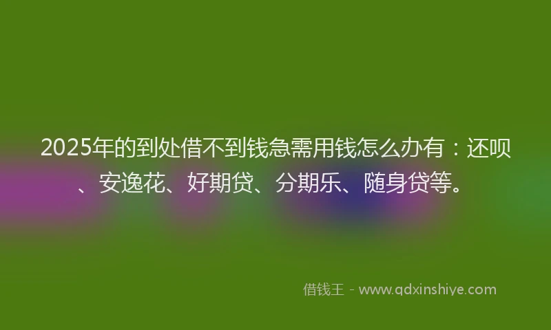 2025年的到处借不到钱急需用钱怎么办有：还呗、安逸花、好期贷、分期乐、随身贷等。