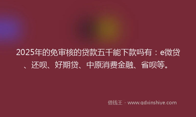 2025年的免审核的贷款五千能下款吗有：e微贷、还呗、好期贷、中原消费金融、省呗等。