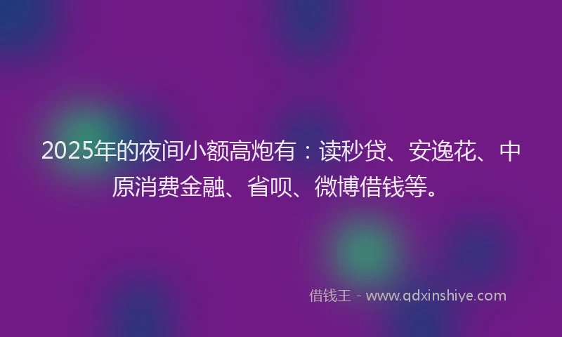 2025年的夜间小额高炮有：读秒贷、安逸花、中原消费金融、省呗、微博借钱等。