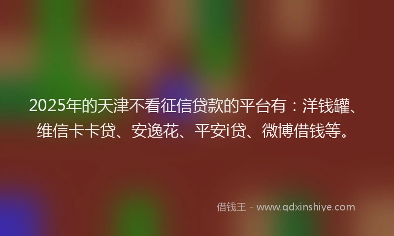 2025年的天津不看征信贷款的平台有：洋钱罐、维信卡卡贷、安逸花、平安i贷、微博借钱等。