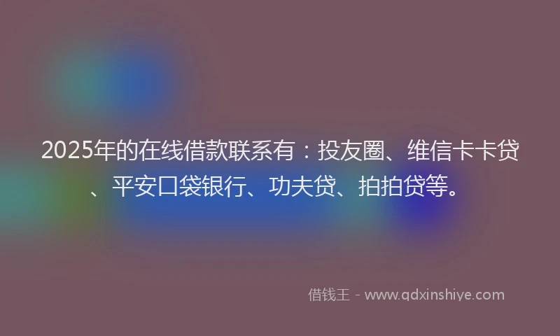 2025年的在线借款联系有：投友圈、维信卡卡贷、平安口袋银行、功夫贷、拍拍贷等。