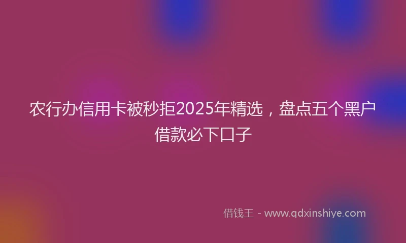 农行办信用卡被秒拒2025年精选，盘点五个黑户借款必下口子