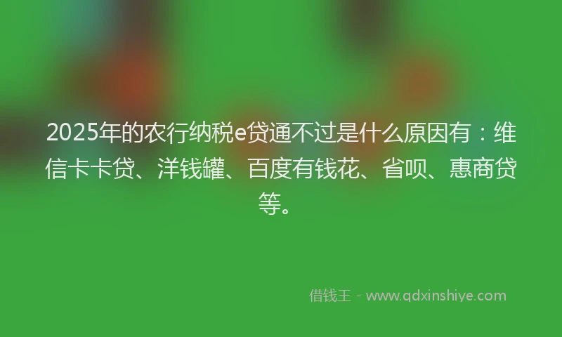 2025年的农行纳税e贷通不过是什么原因有：维信卡卡贷、洋钱罐、百度有钱花、省呗、惠商贷等。