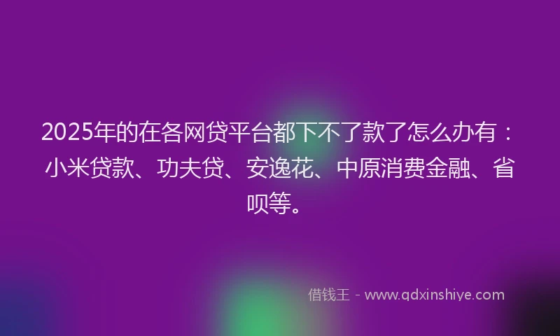2025年的在各网贷平台都下不了款了怎么办有：小米贷款、功夫贷、安逸花、中原消费金融、省呗等。