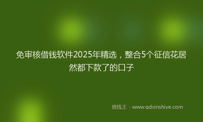 免审核借钱软件2025年精选，整合5个征信花居然都下款了的口子