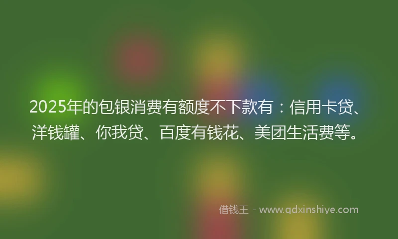 2025年的包银消费有额度不下款有：信用卡贷、洋钱罐、你我贷、百度有钱花、美团生活费等。