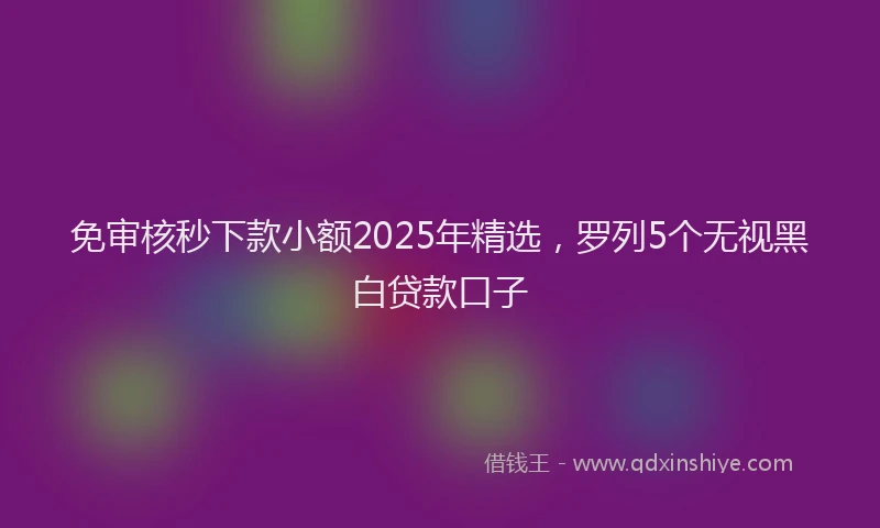 免审核秒下款小额2025年精选，罗列5个无视黑白贷款口子
