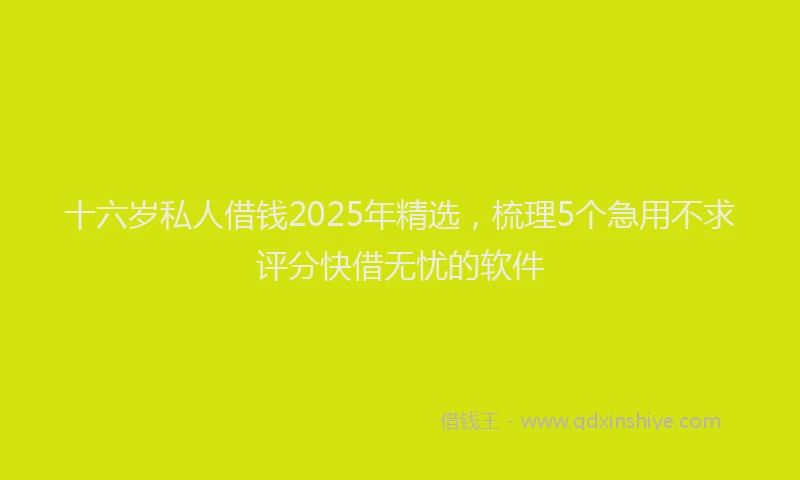 十六岁私人借钱2025年精选，梳理5个急用不求评分快借无忧的软件