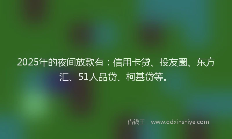 2025年的夜间放款有：信用卡贷、投友圈、东方汇、51人品贷、柯基贷等。