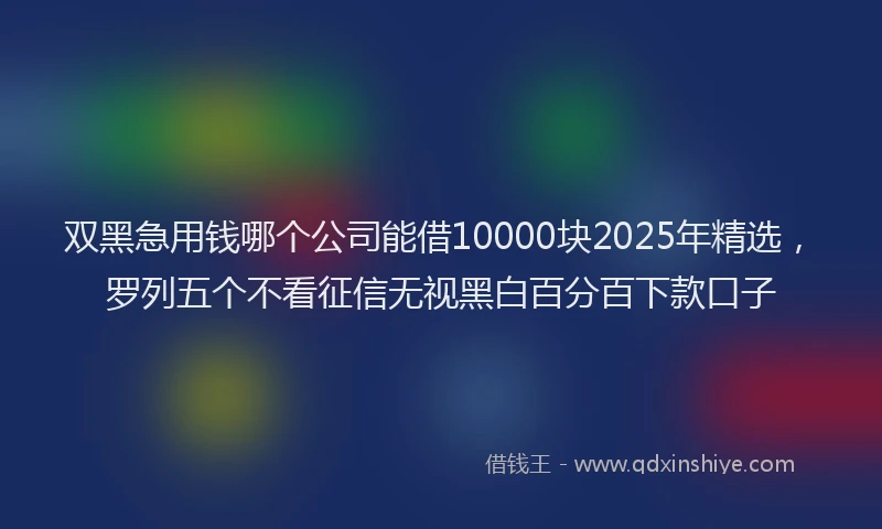 双黑急用钱哪个公司能借10000块2025年精选，罗列五个不看征信无视黑白百分百下款口子