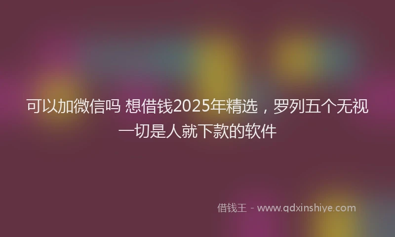 可以加微信吗 想借钱2025年精选，罗列五个无视一切是人就下款的软件