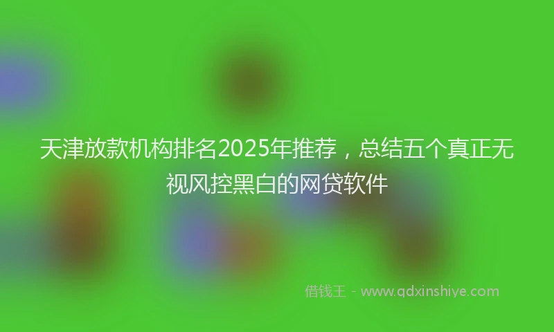 天津放款机构排名2025年推荐，总结五个真正无视风控黑白的网贷软件